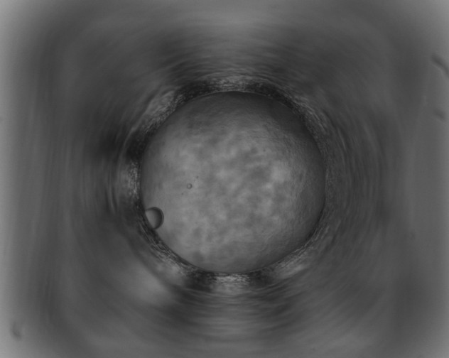 X0000093250240200709261725
