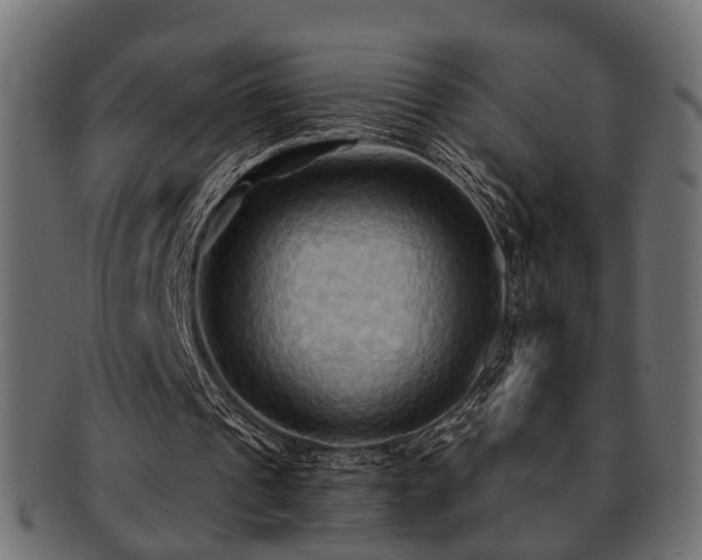 X0000093250241200709261725
