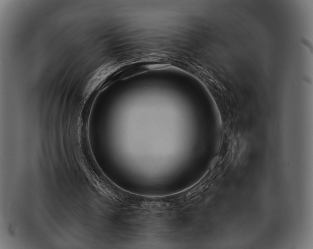 X0000093250242200709261725