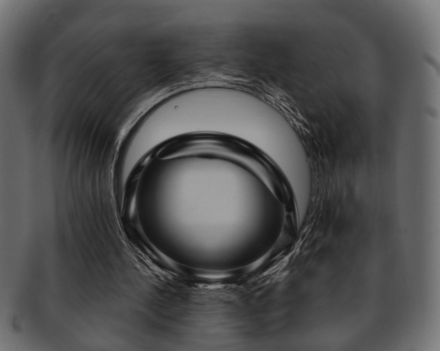 X0000093250244200709261725