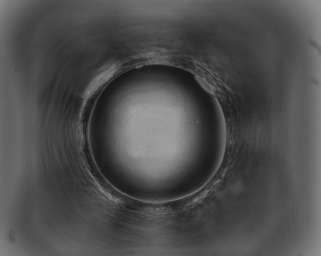 X0000093250245200709261725