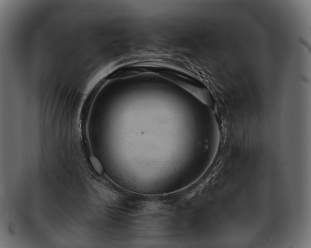 X0000093250246200709261725