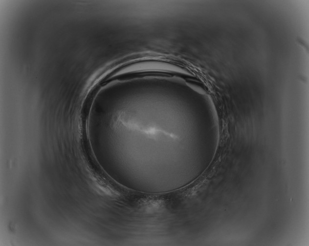 X0000093250247200709261725