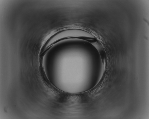 X0000093250248200709261725