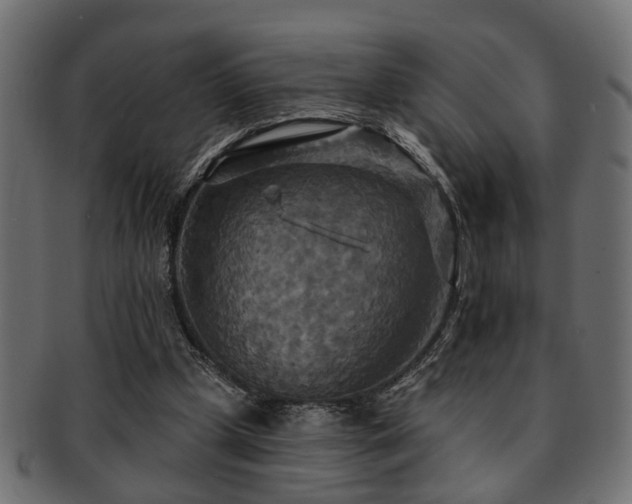 X0000093250249200709261725