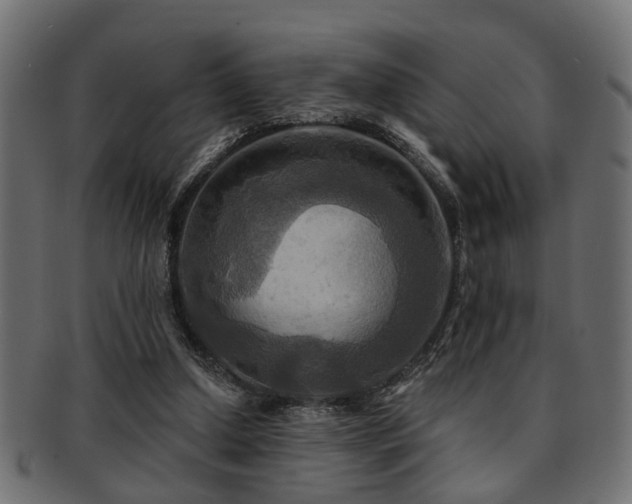 X0000093250250200709261725