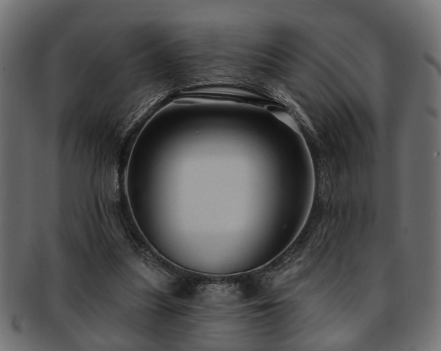 X0000093250251200709261725