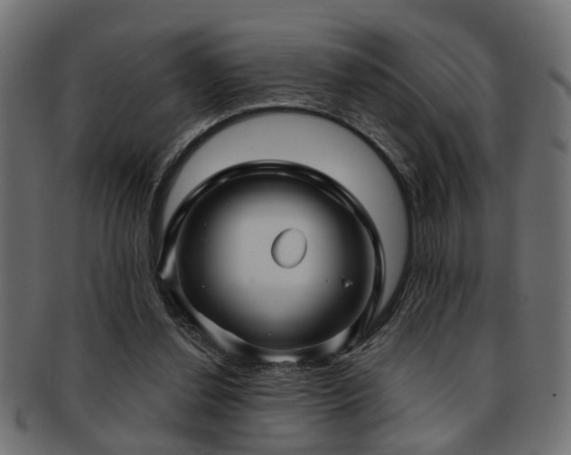 X0000093250252200709261725