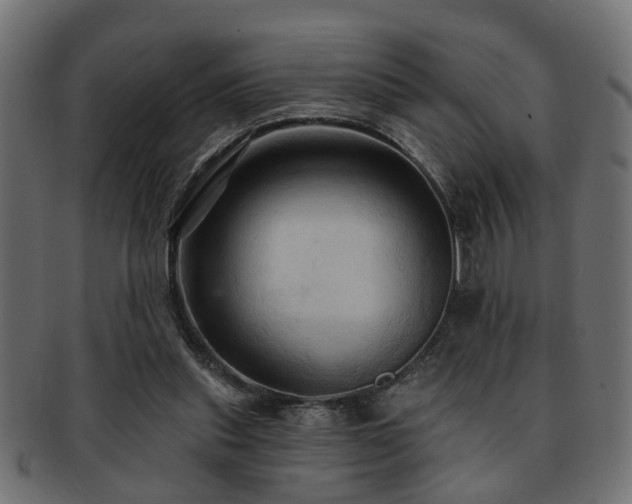 X0000093250253200709261725