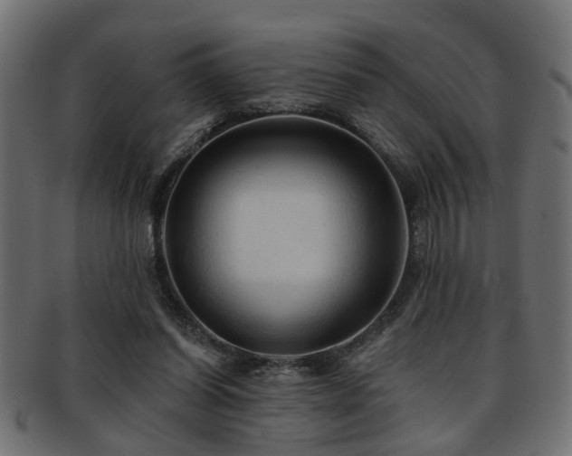 X0000093250254200709261725