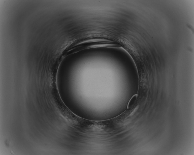 X0000093250255200709261725