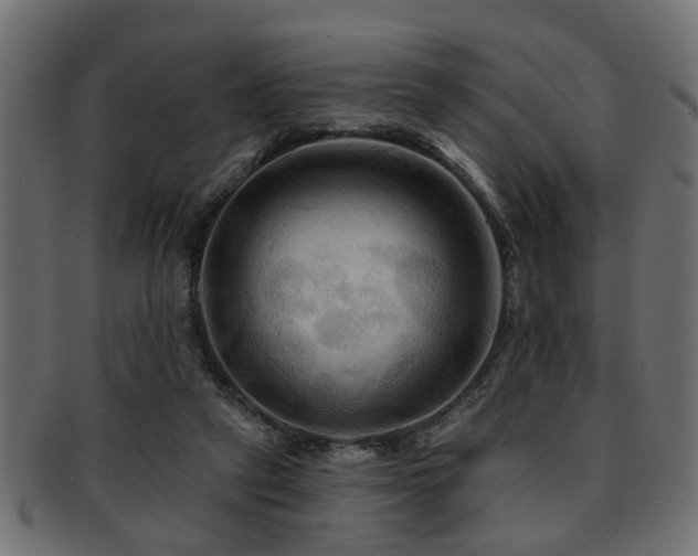 X0000093250257200709261725