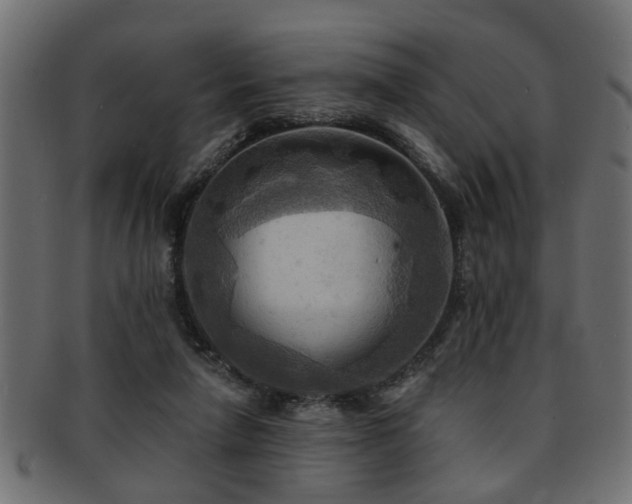X0000093250258200709261725