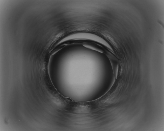 X0000093250260200709261725