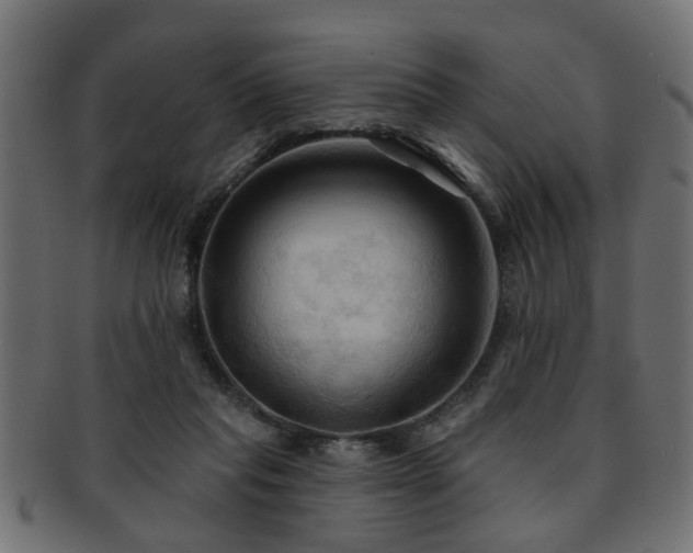 X0000093250261200709261725