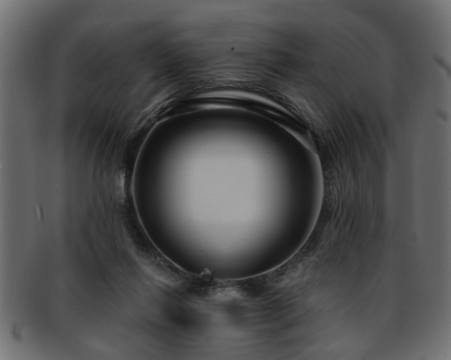 X0000093250262200709261725