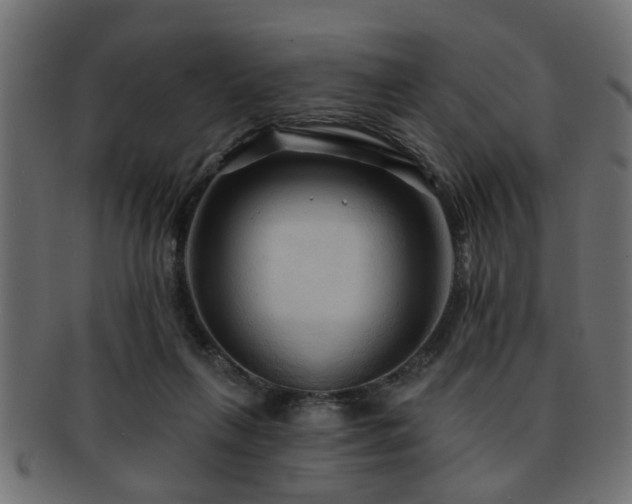 X0000093250263200709261725