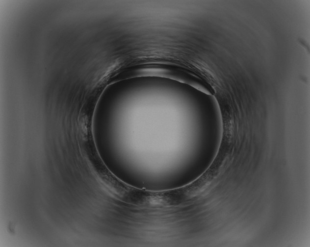 X0000093250264200709261725