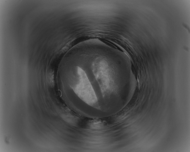 X0000093250267200709261725