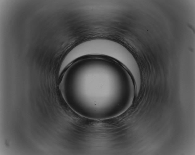 X0000093250268200709261725