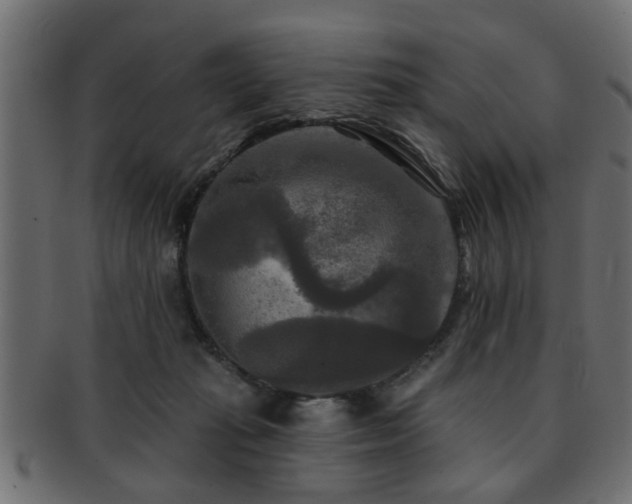 X0000093250269200709261725