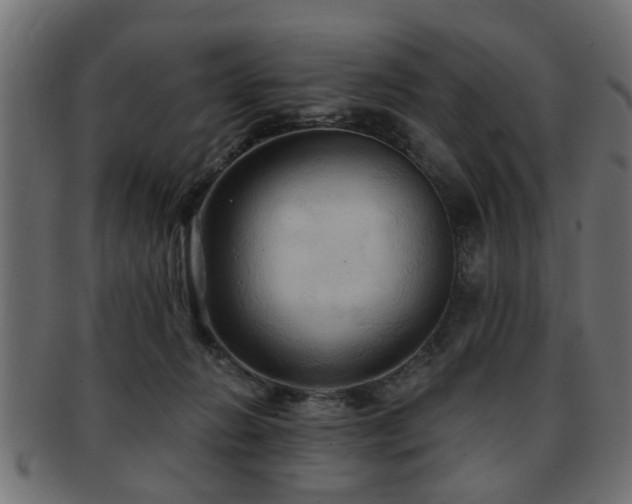 X0000093250270200709261725