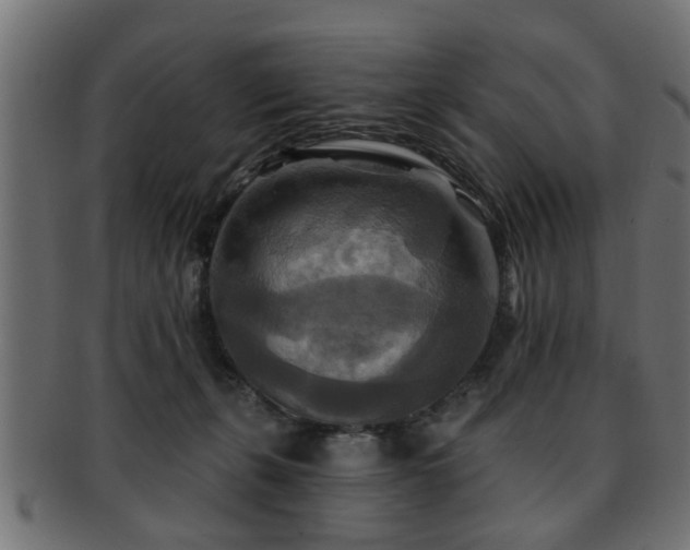 X0000093250271200709261725