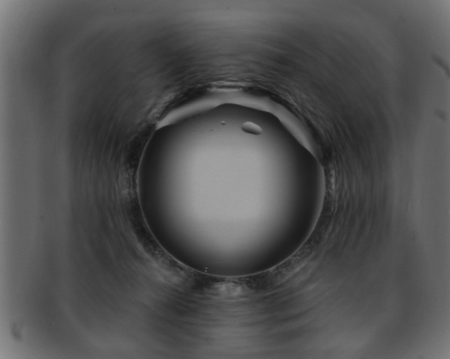 X0000093250272200709261725