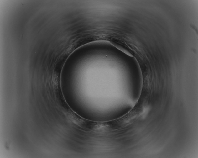 X0000093250274200709261725