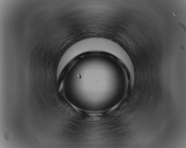 X0000093250276200709261725