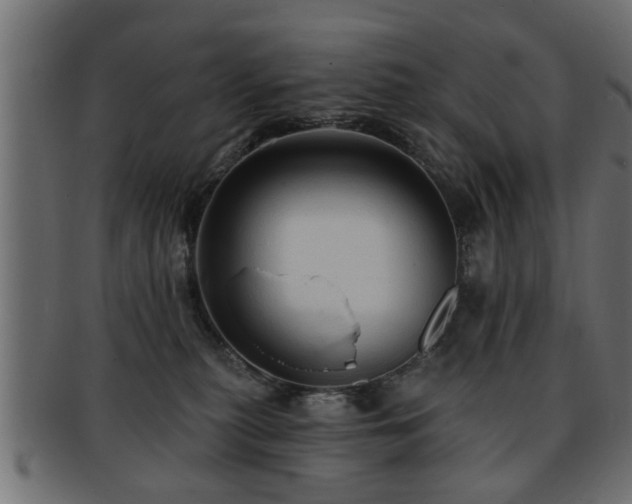 X0000093250279200709261725