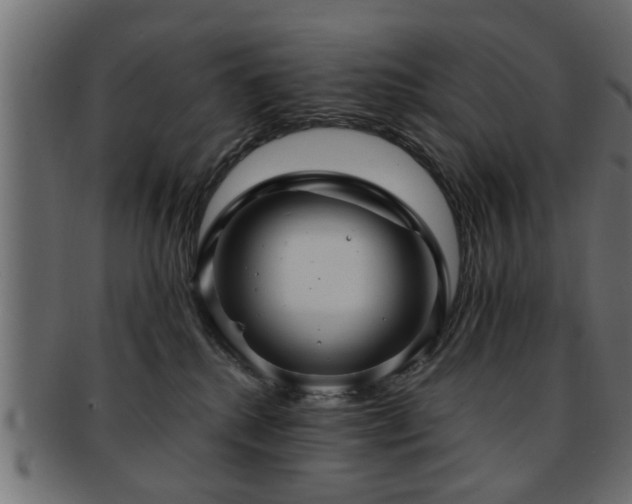 X0000093250280200709261725