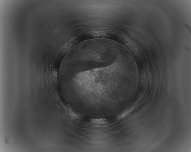X0000093250281200709261725