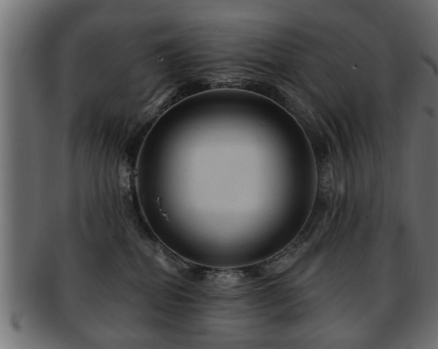 X0000093250282200709261725