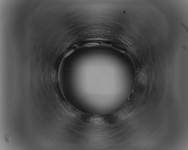 X0000093250283200709261725