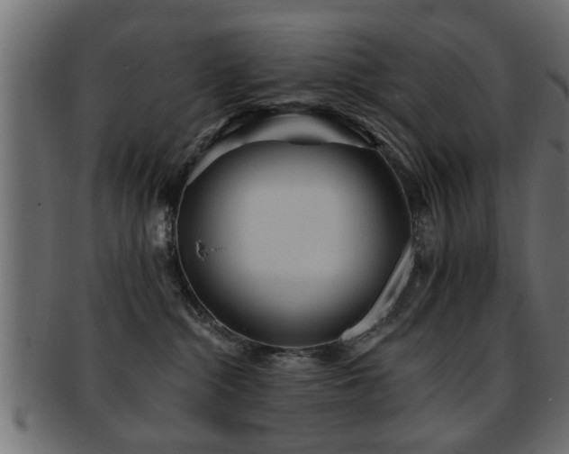 X0000093250284200709261725