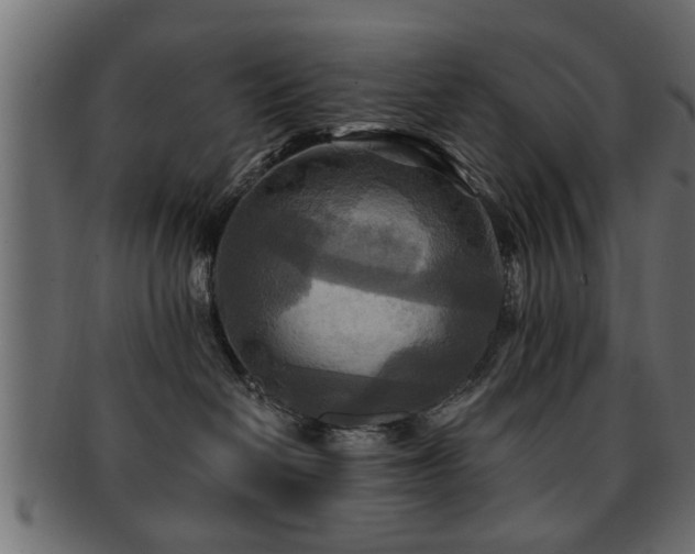 X0000093250286200709261725