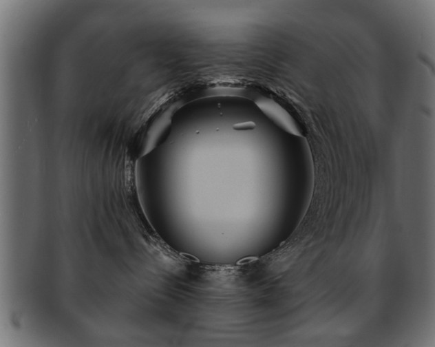X0000093250288200709261725
