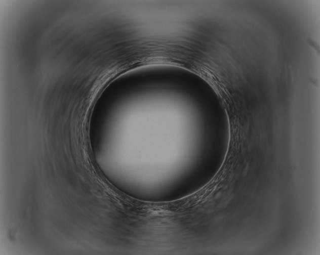 X0000093250289200709261725