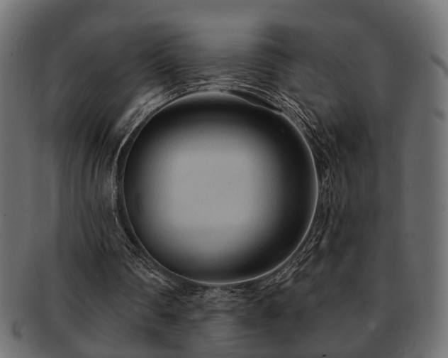 X0000093250290200709261725