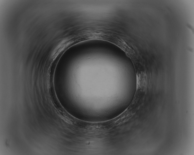 X0000093250291200709261725