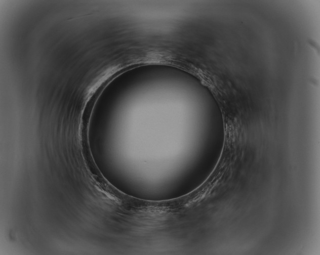 X0000093250292200709261725