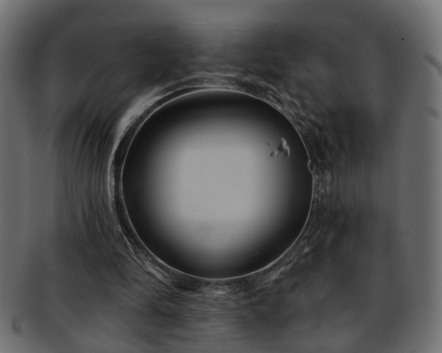 X0000093250294200709261725