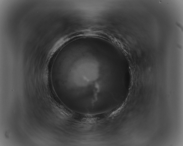 X0000093250295200709261725