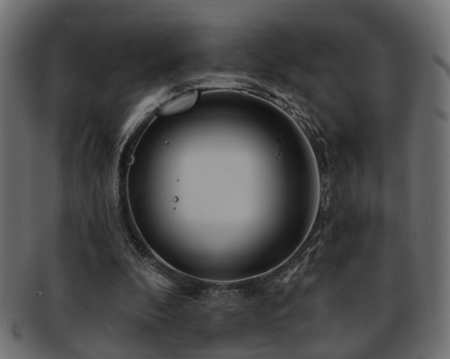 X0000093250296200709261725