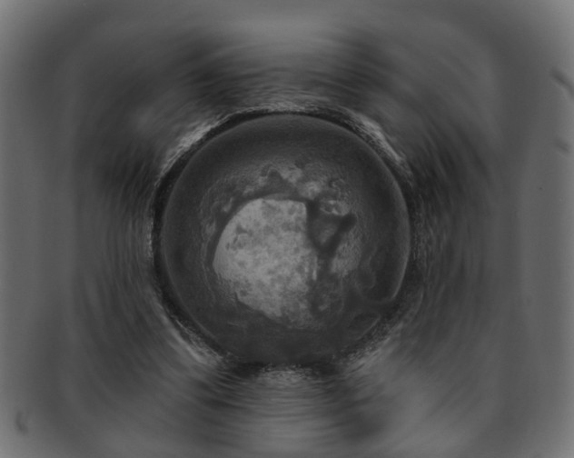 X0000093250299200709261725