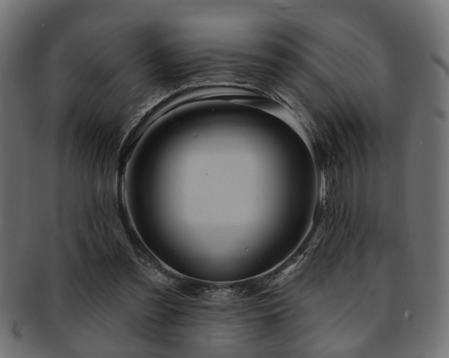 X0000093250301200709261725