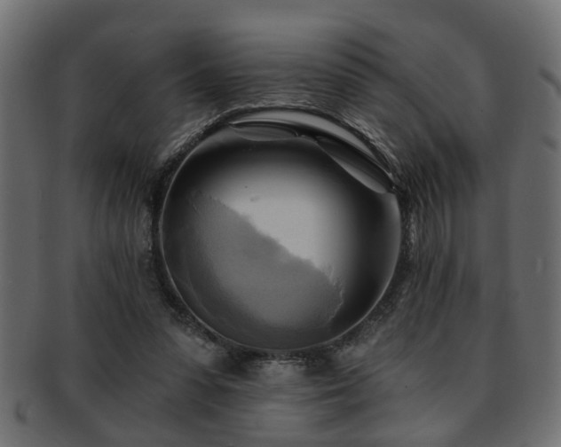 X0000093250303200709261725