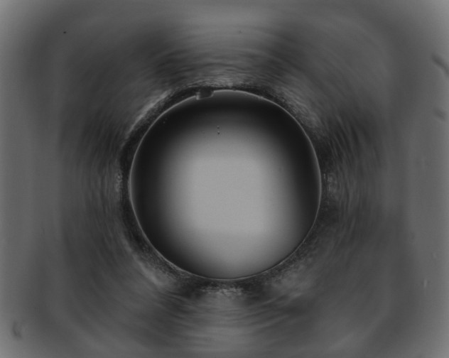 X0000093250304200709261725
