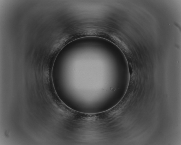 X0000093250306200709261725